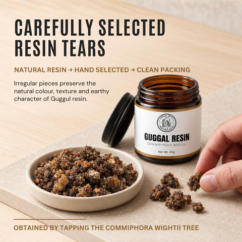 Guggul Resin | Guggal | Commiphora wightii