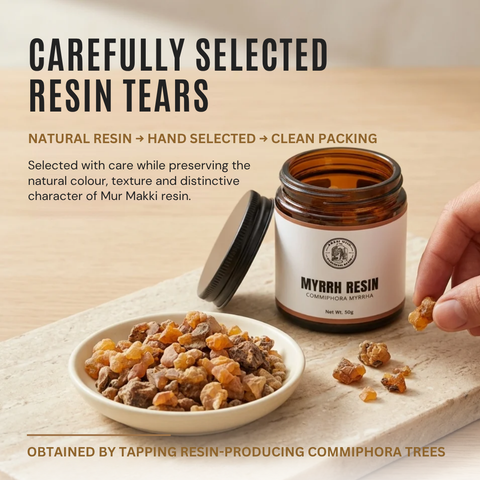 Myrrh Resin | Mur Makki | Commiphora myrrha