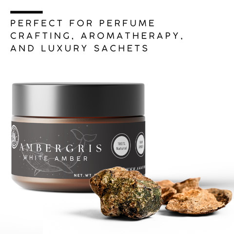Ambergris - White Amber | Rare Perfume Ingredient