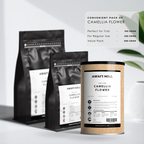 Camellia Flowers – Camellia sinensis