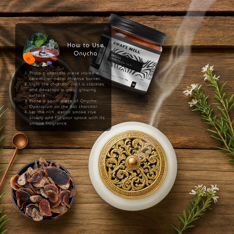 Onycha (Operculum) - Natural Incense Fixative | Premium Raw Aromatic Seashell Operculum