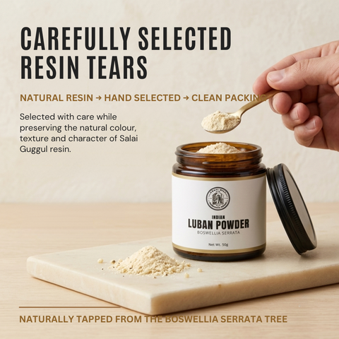 Indian Frankincense Resin Powder | Boswellia serrata | Luban Powder
