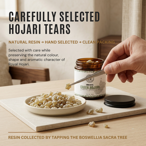 Omani Royal Green Hojari Frankincense | Bakhoor Grade