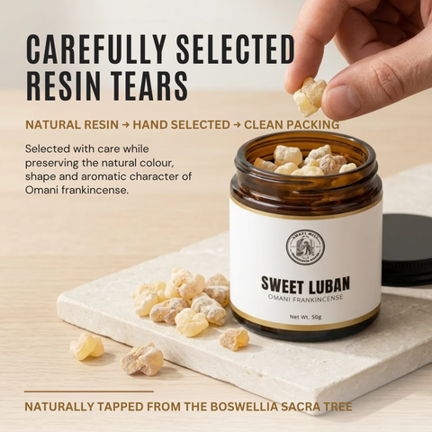 Omani Frankincense |  Edible Sweet Luban