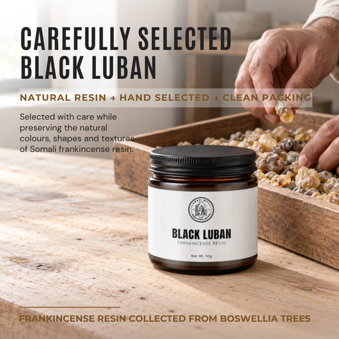 Somali Black Frankincense |  Boswellia neglecta