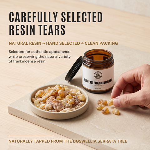 Yemeni Frankincense Resin |  Olibanum |  Boswellia sacra