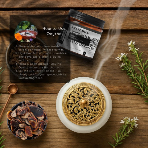 Onycha (Operculum) - Natural Incense Fixative | Premium Raw Aromatic Seashell Operculum