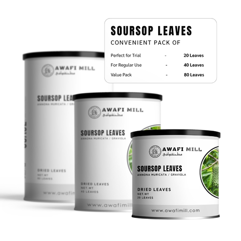 Soursop Leaves | Graviola | Guanabana | Annona muricata