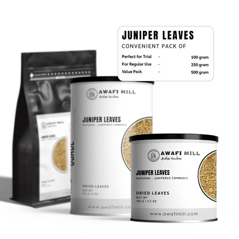 Juniper Leaves (Hapusha) - Juniperus Communis
