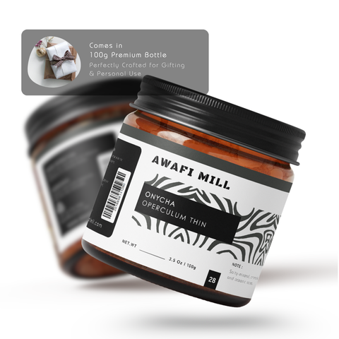 Onycha (Operculum) - Natural Incense Fixative | Premium Raw Aromatic Seashell Operculum