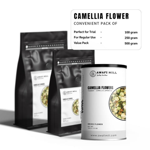 Camellia Flowers (Tsubaki) - Camellia Japonica