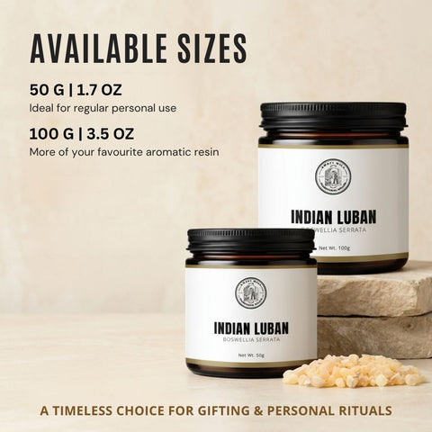 Indian Frankincense Resin |  Salai Guggul |  Boswellia serrata