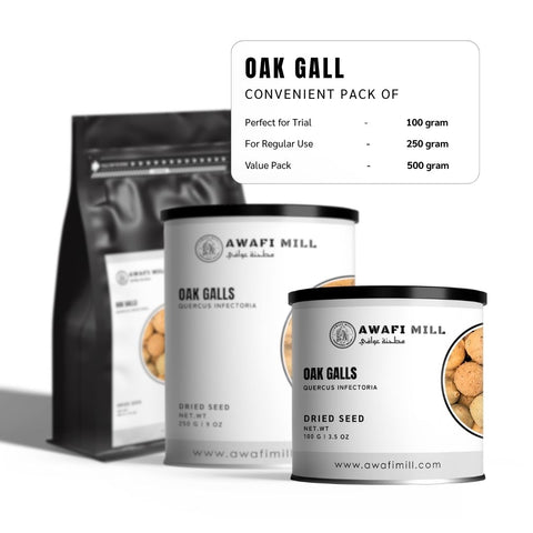 Oak Gall | Gall Wasps