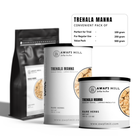 Trehala Manna (Shakar Teghal) - Larinus Maculatus