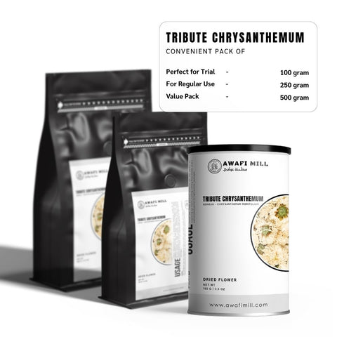 Tribute Chrysanthemum (Gongju) - Chrysanthemum Morifolium