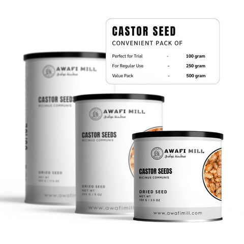 Castor Seeds (Erand / Arandi) – Ricinus communis