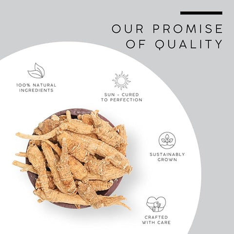 Ginseng Root - Panax Ginseng