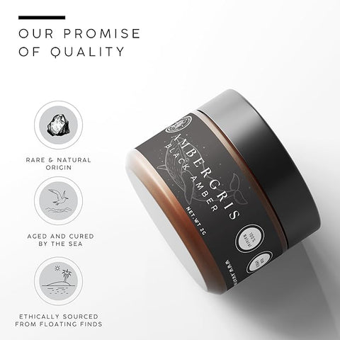 Ambergris - Grey Amber | Rare Fragrant Resin