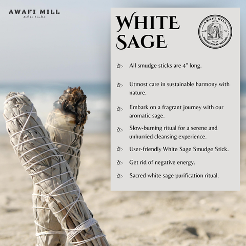 White Sage Smudge Stick | California | Salvia apiana