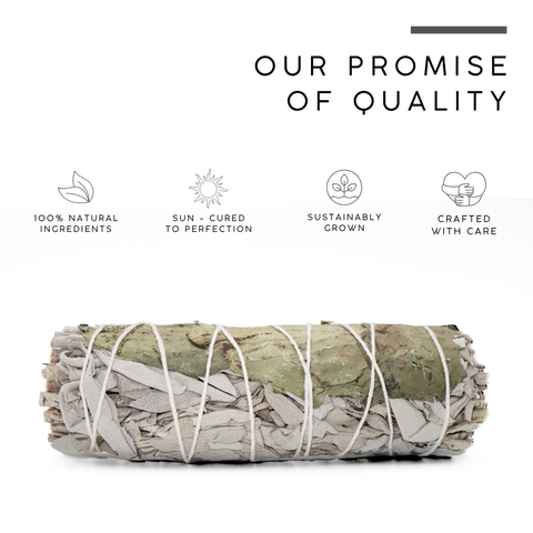 White Sage with Basil Smudge Stick | Botanical Herb Bundle
