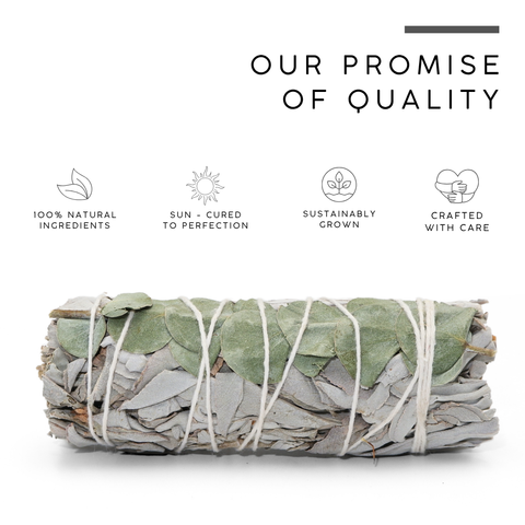 White Sage with Eucalyptus Smudge Stick | Botanical Bundle