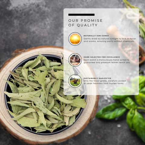Stevia Leaves (Meethi Tulsi) - Stevia Rebaudiana