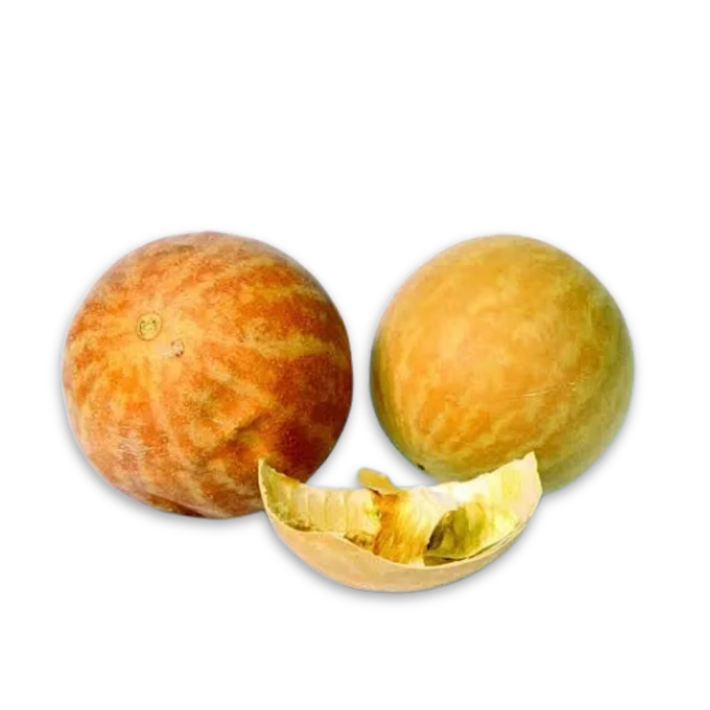 citrus colocynthis