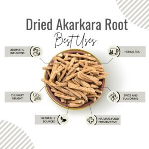 Awafi Mill Akarkala dried root benefits