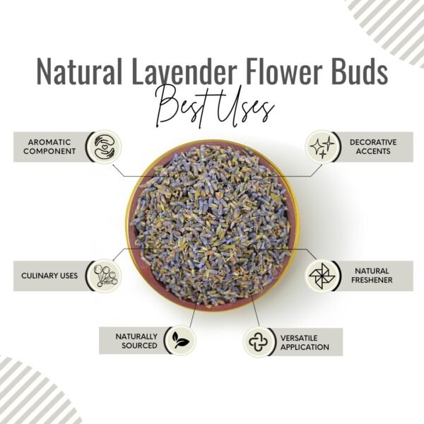 Awafi Mill Dried Lavender Buds Flower Benefits