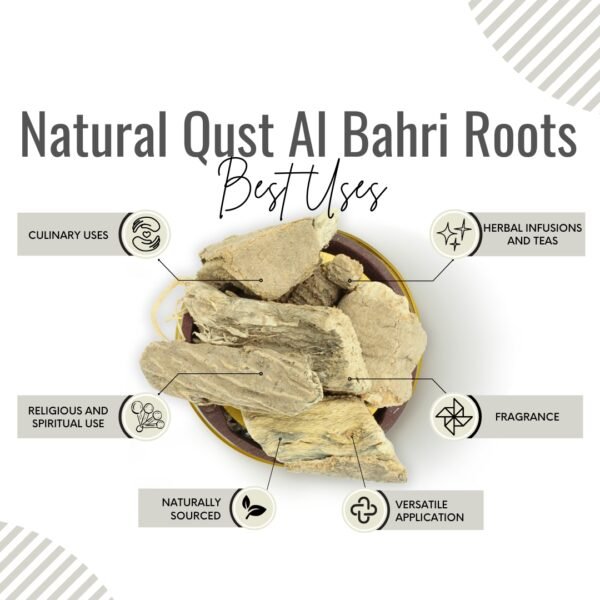 Awafi Mill Dried Qust Al Bahri root Benefits