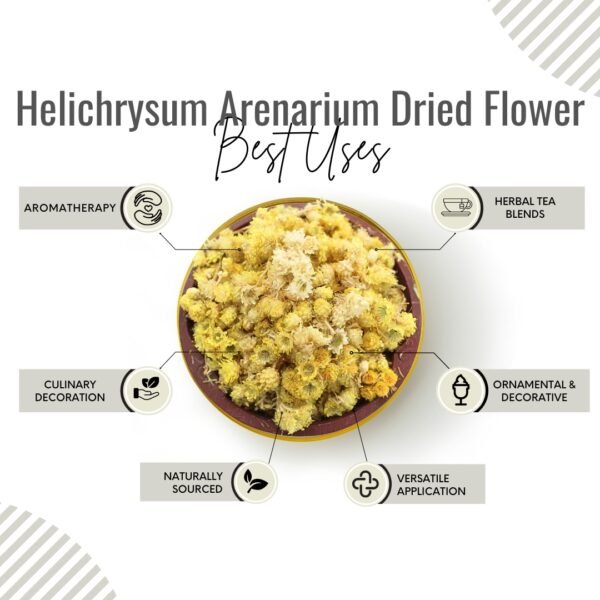 Awafi Mill Helichrysum Arenarium Dried Flower Benefits