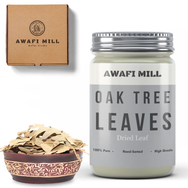Awafi Mill Burr Oak Tree Leaves