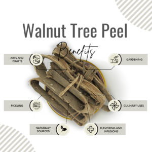 Awafi Mill Dandasa Datun Walnut Tree Peel Benefits