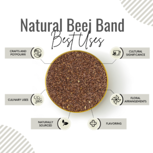 Awafi Mill Dried Beej Band Seed Benefits