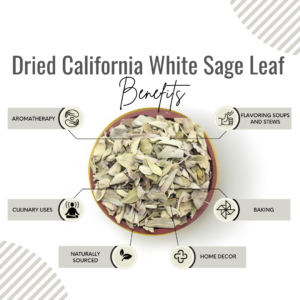 Awafi Mill Dried California White Sage Leaf Benefits
