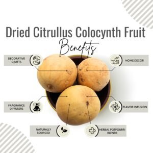 Awafi Mill Dried Citrullus Colocynth Fruit Benefits