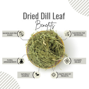 Awafi Mill Dried Dill Leaf Benefits