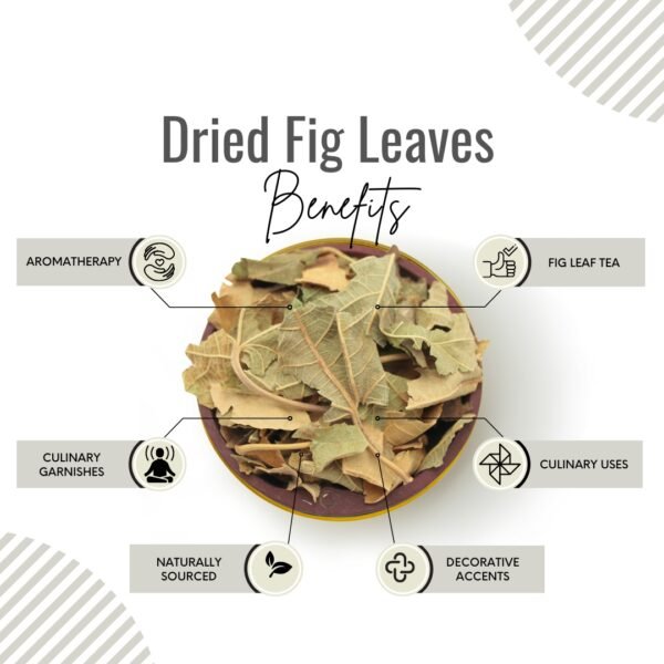 Awafi Mill Dried Fig Leaves Benefits