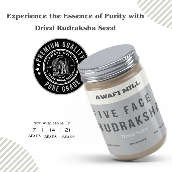 Awafi Mill Dried Rudraksha Seed Variations