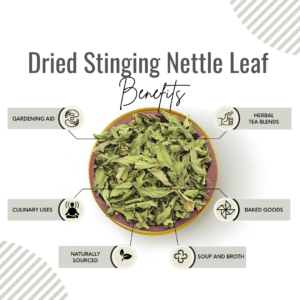 Awafi Mill Dried Stinging Nettle Leaf Benefits