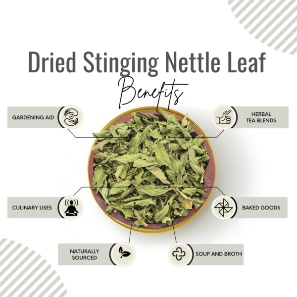 Awafi Mill Dried Stinging Nettle Leaf Benefits