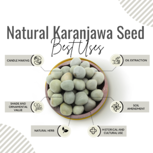 Awafi Mill Karanjawa Seed benefits