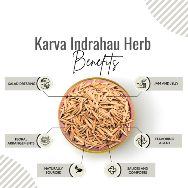Awafi Mill Karva Indrahau Herb Benefits