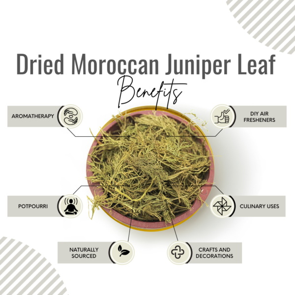 Awafi Mill Moroccan Juniper Leaf Benefits