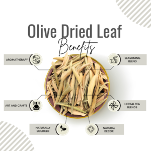 Awafi Mill Olive Dried Leaf Benefits