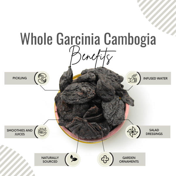Awafi Mill Whole Garcinia Cambogia Benefits