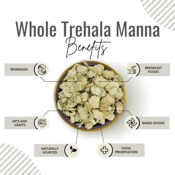 Awafi Mill Whole Trehala Manna Benefits