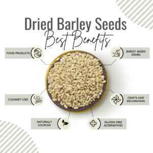 Awafi Mill Whole barley dried seed benefits