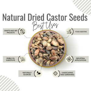 Awafi Mill castor seeds Benefits