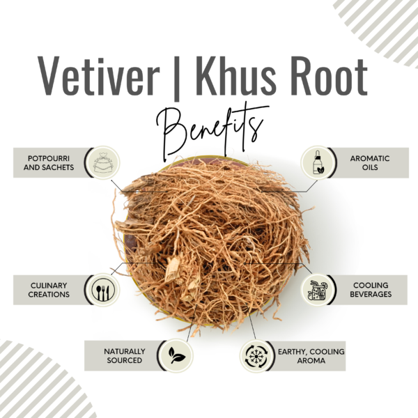 Vetiver Root | hKus | Vetiveria Zizanoides - Image 3